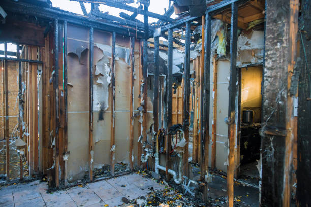 Professional Smoke Damage Removal technician working in Clifton, AZ